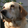 oita naba